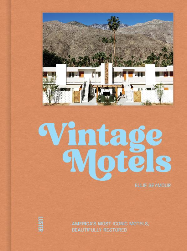 Omslag van Vintage motels