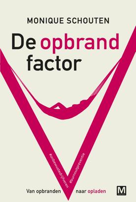 Omslag van De opbrandfactor
