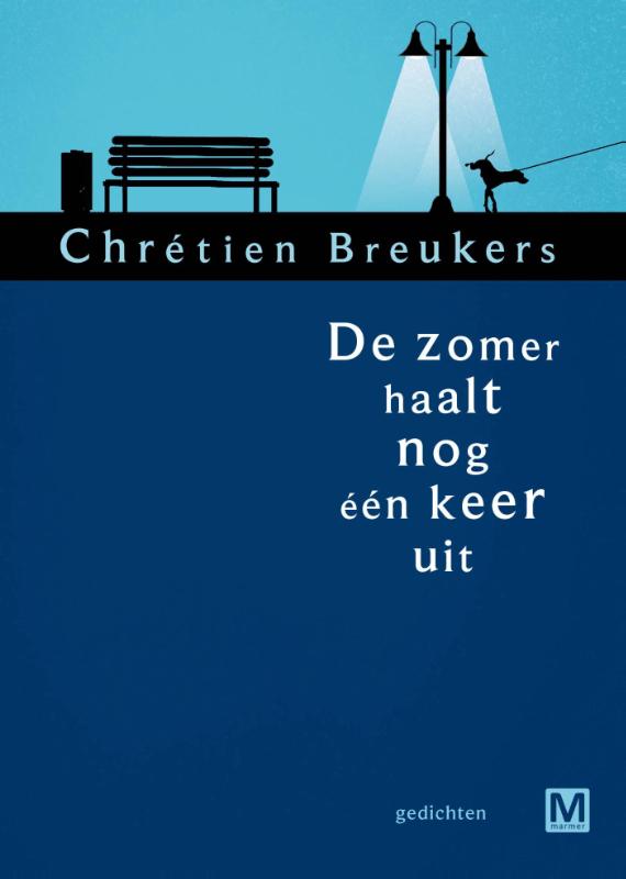 Omslag van De zomer haalt nog één keer uit