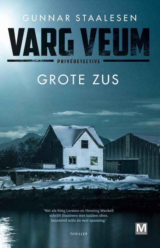 Omslag van Grote zus
