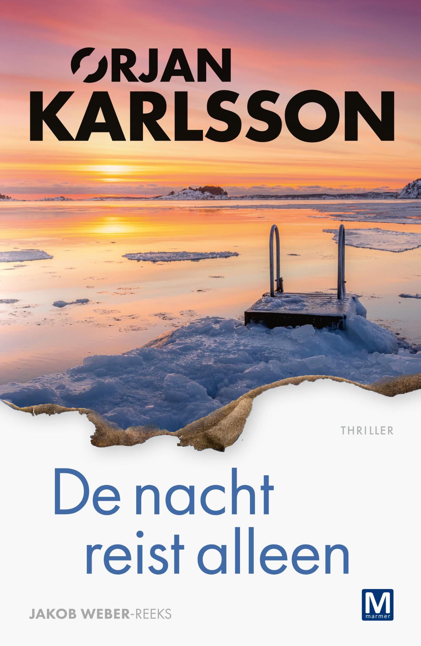 Omslag van De nacht reist alleen