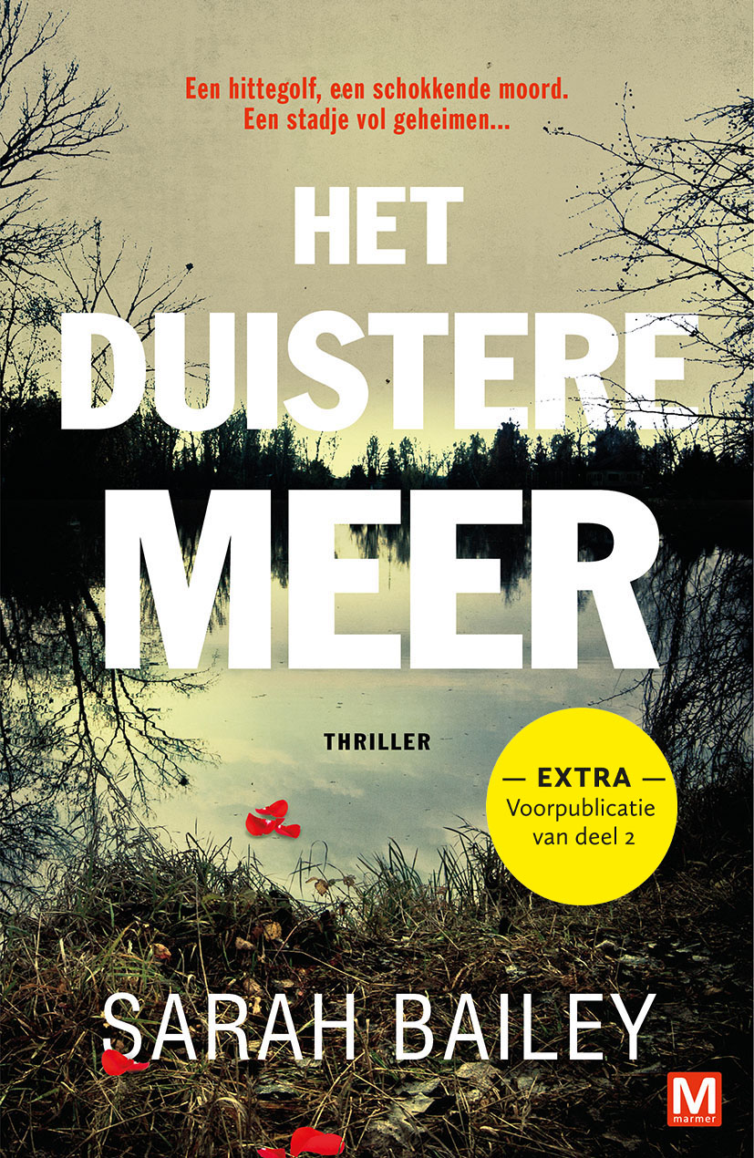 Omslag van Het duistere meer