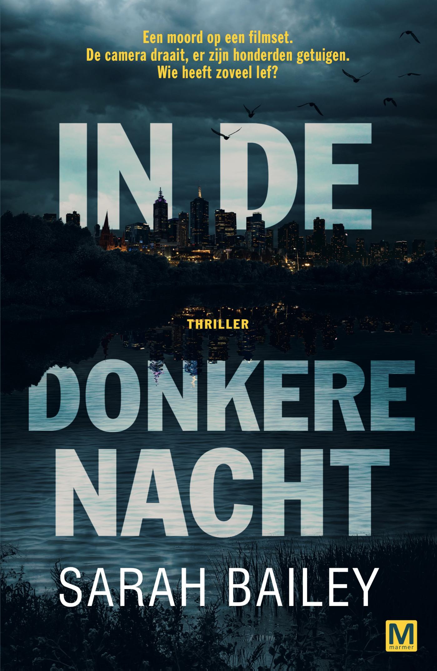 Omslag van In de donkere nacht