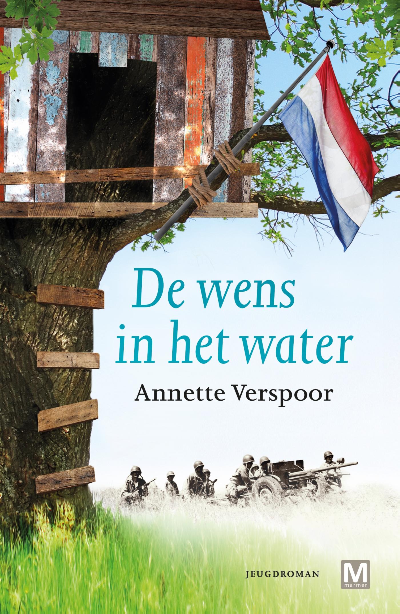 Omslag van De wens in het water