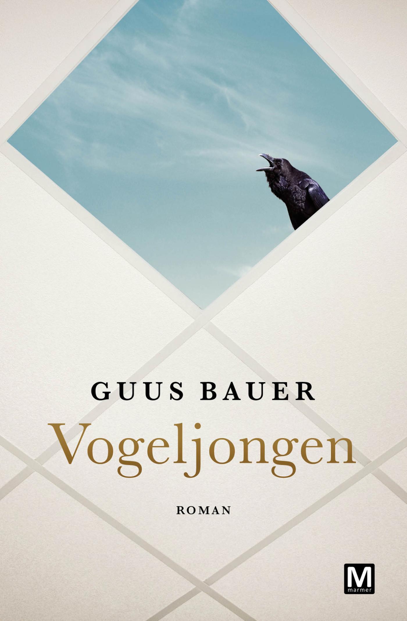 Omslag van Vogeljongen