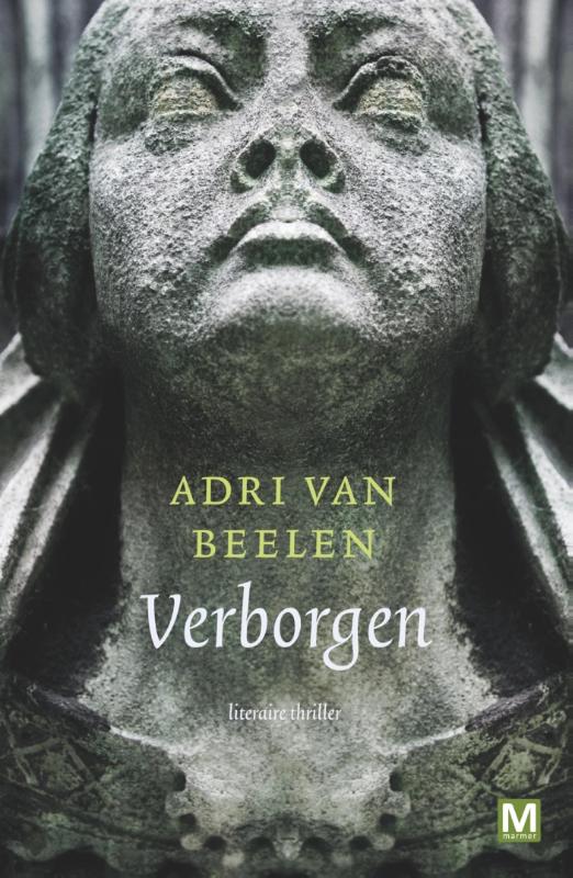 Omslag van Verborgen