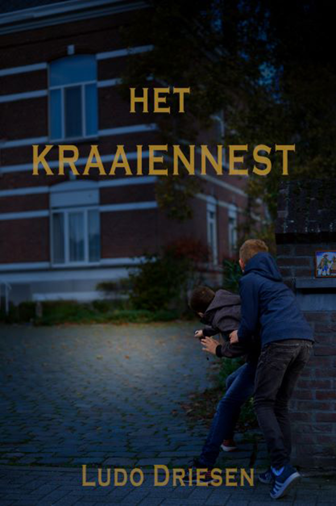 Omslag van Het kraaiennest