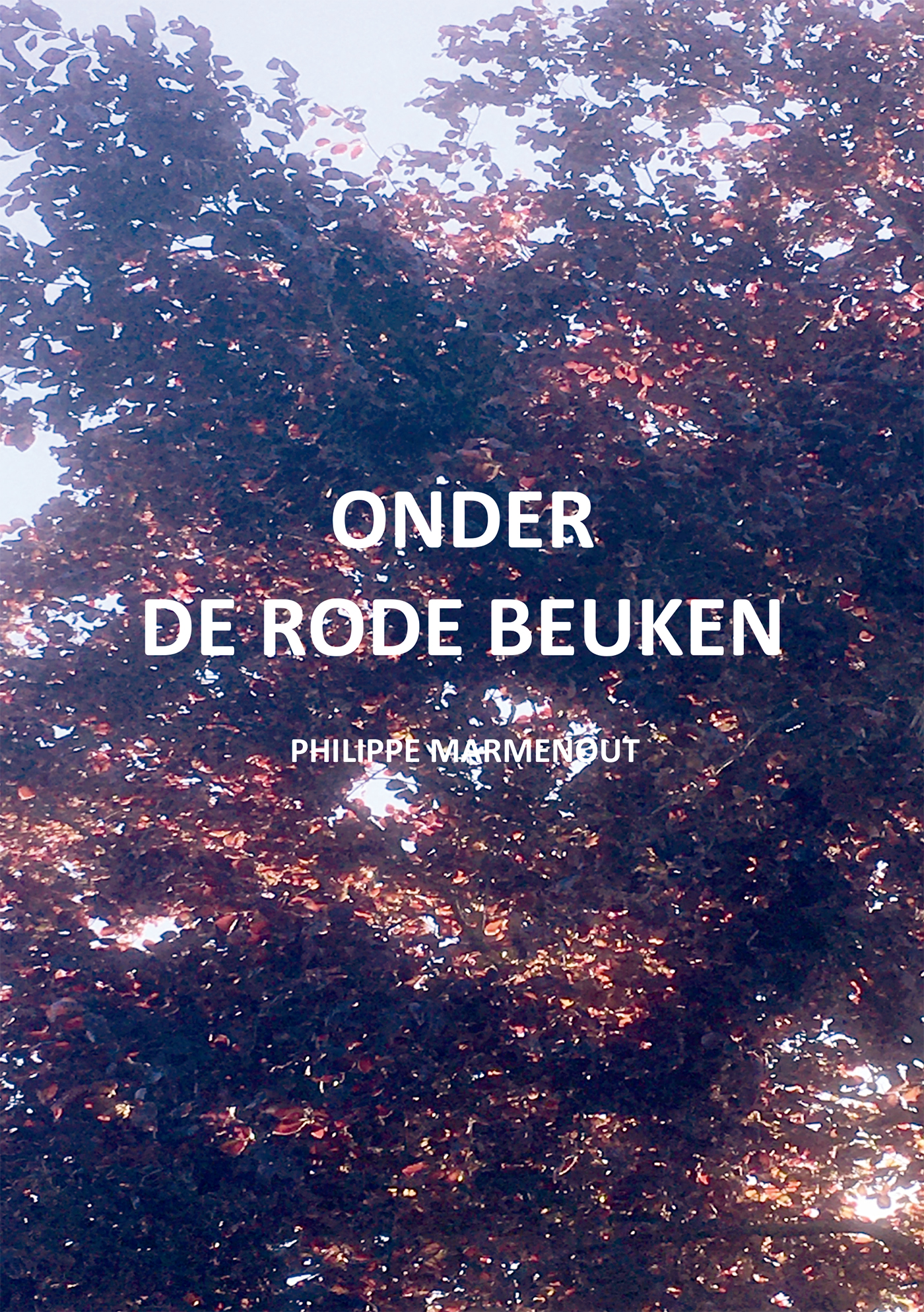 Omslag van Onder de rode beuken