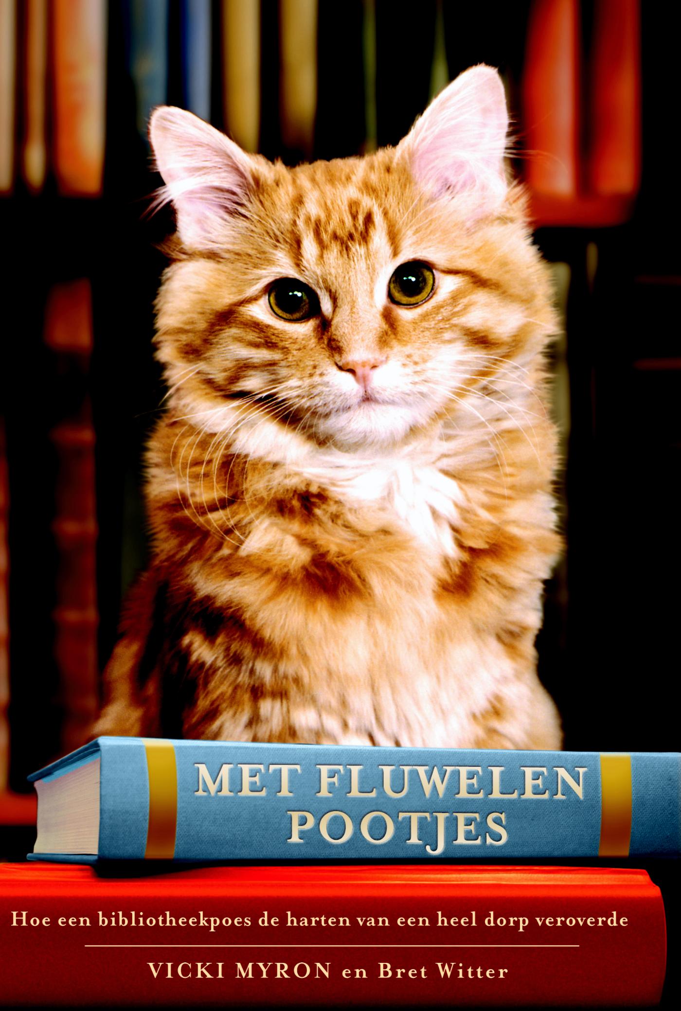 Omslag van Dewey, de bibliotheekkat