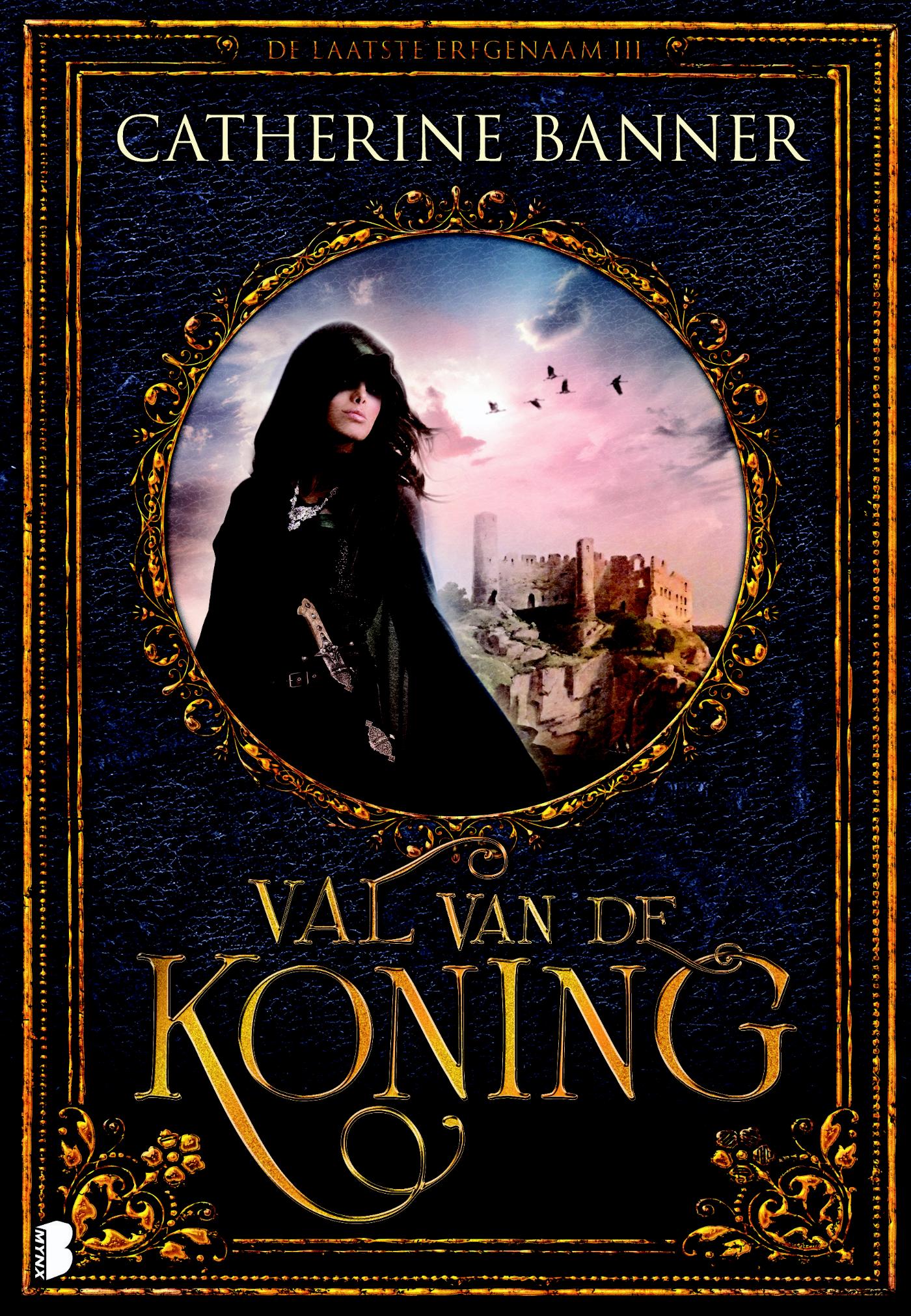 Omslag van De val van een koning