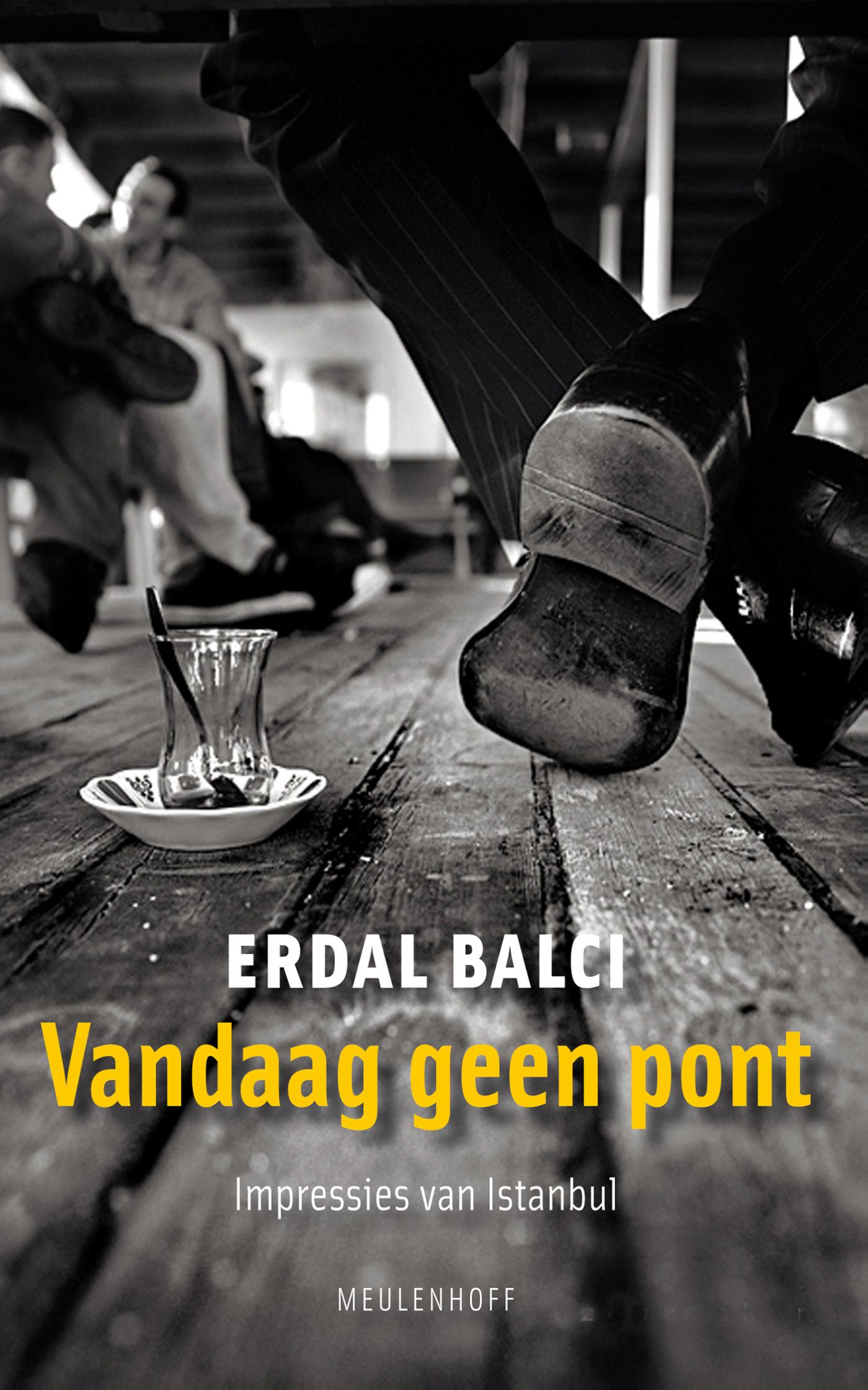 Omslag van Vandaag geen pont