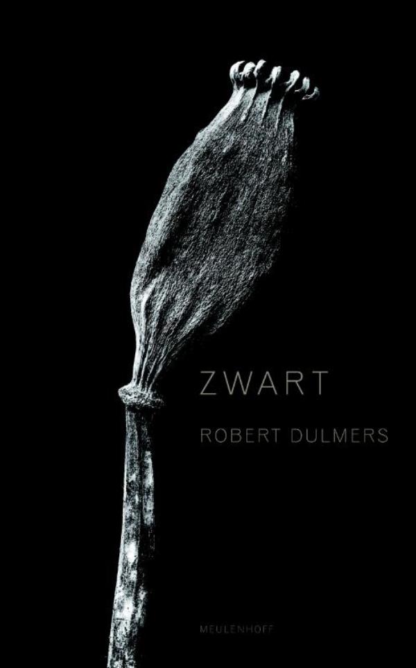 Omslag van Zwart