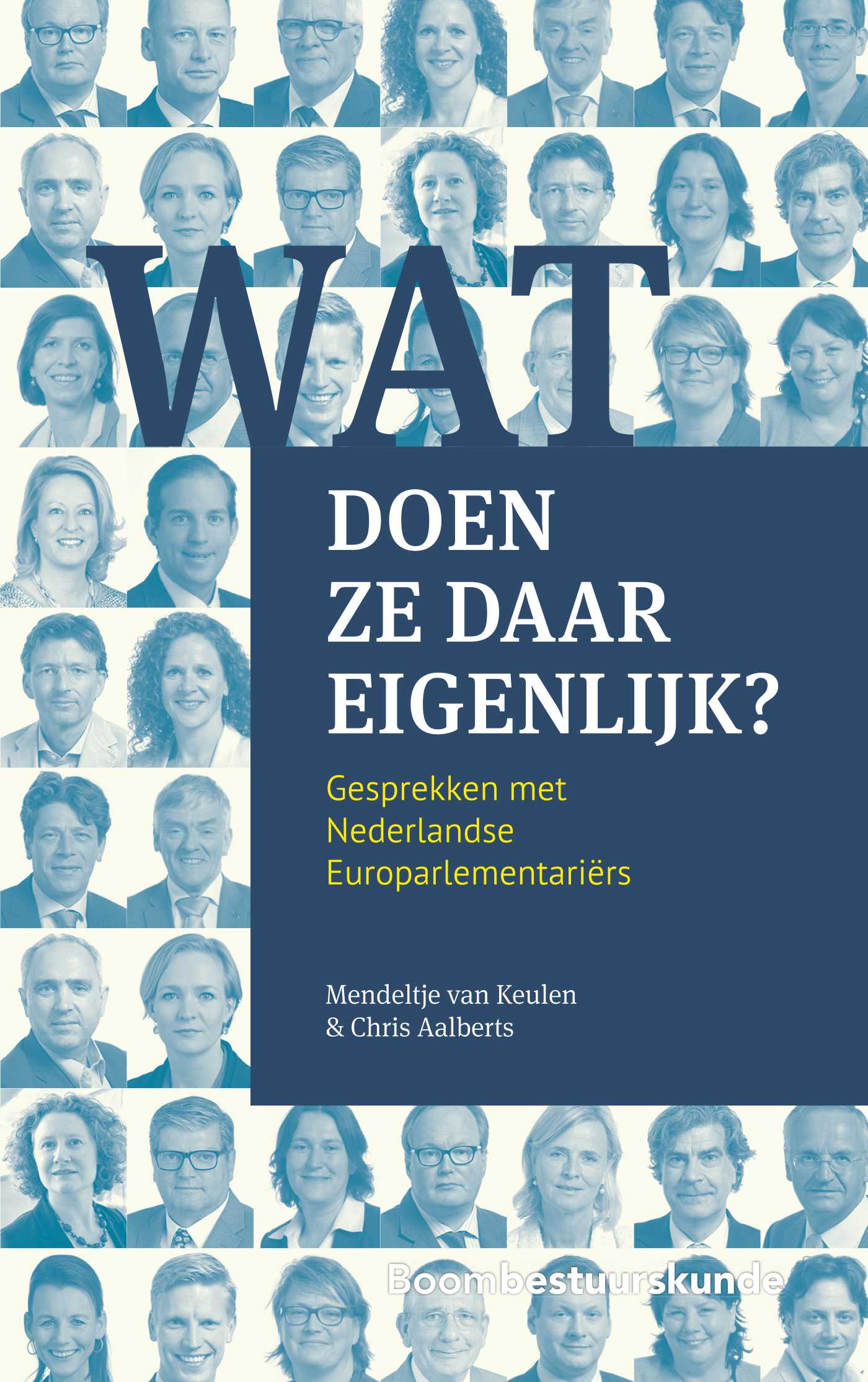 Omslag van Wat doen ze daar eigenlijk?