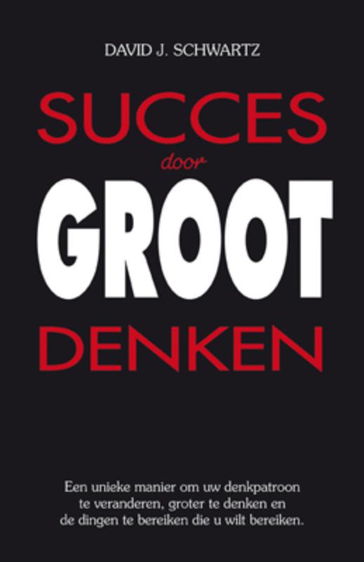 Omslag van Succes door groot denken