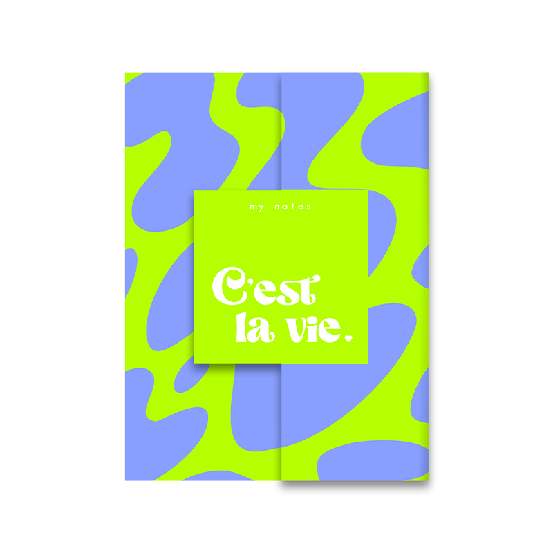 Omslag van My notes - C'est la vie.