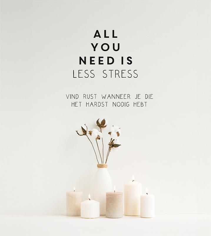 Omslag van All you need is less stress