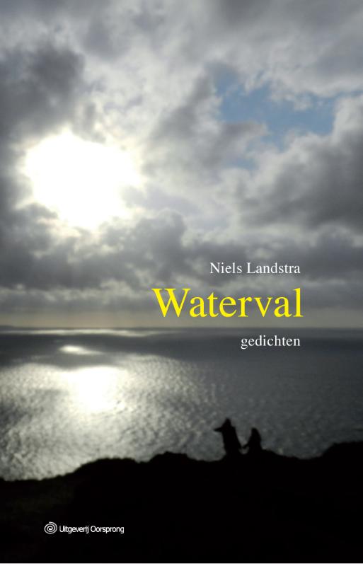 Omslag van Waterval