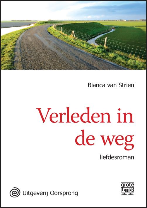 Omslag van Verleden in de weg
