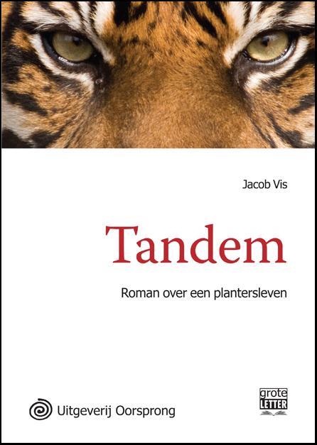Omslag van Tandem