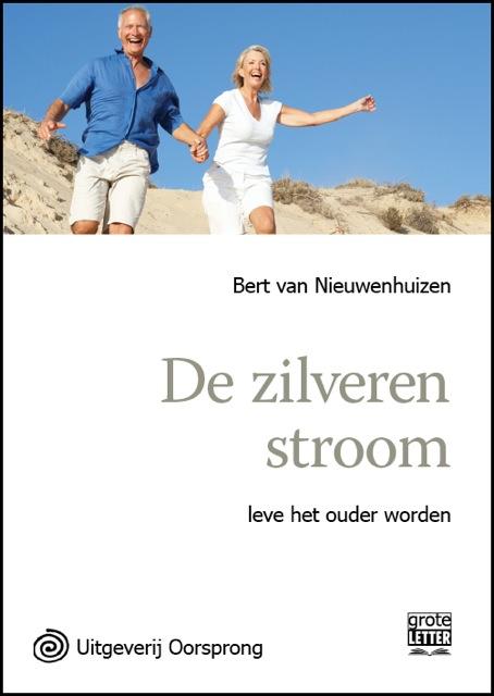 Omslag van De zilveren stroom - grote letter uitgave