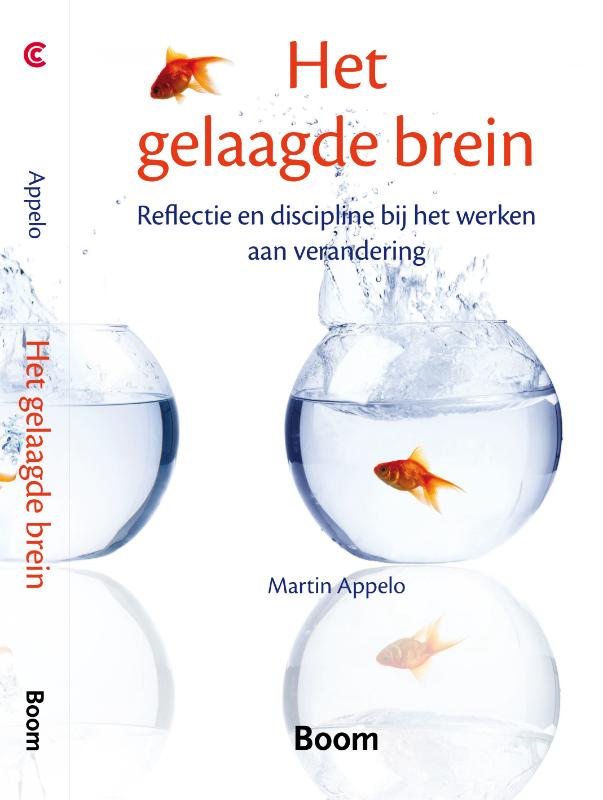 Omslag van Het gelaagde brein