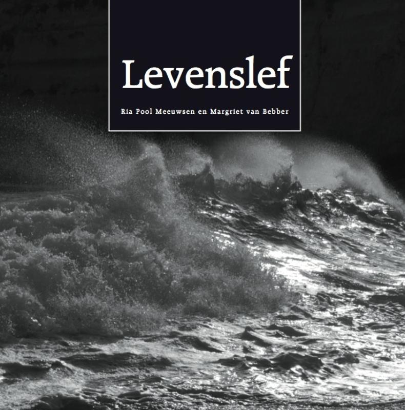 Omslag van Levenslef