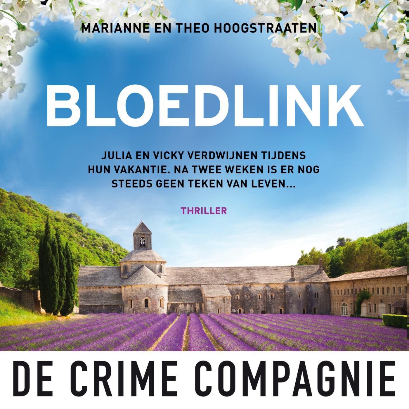 Omslag van Bloedlink