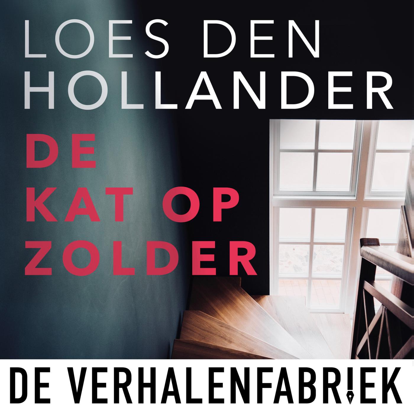 Omslag van De kat op zolder
