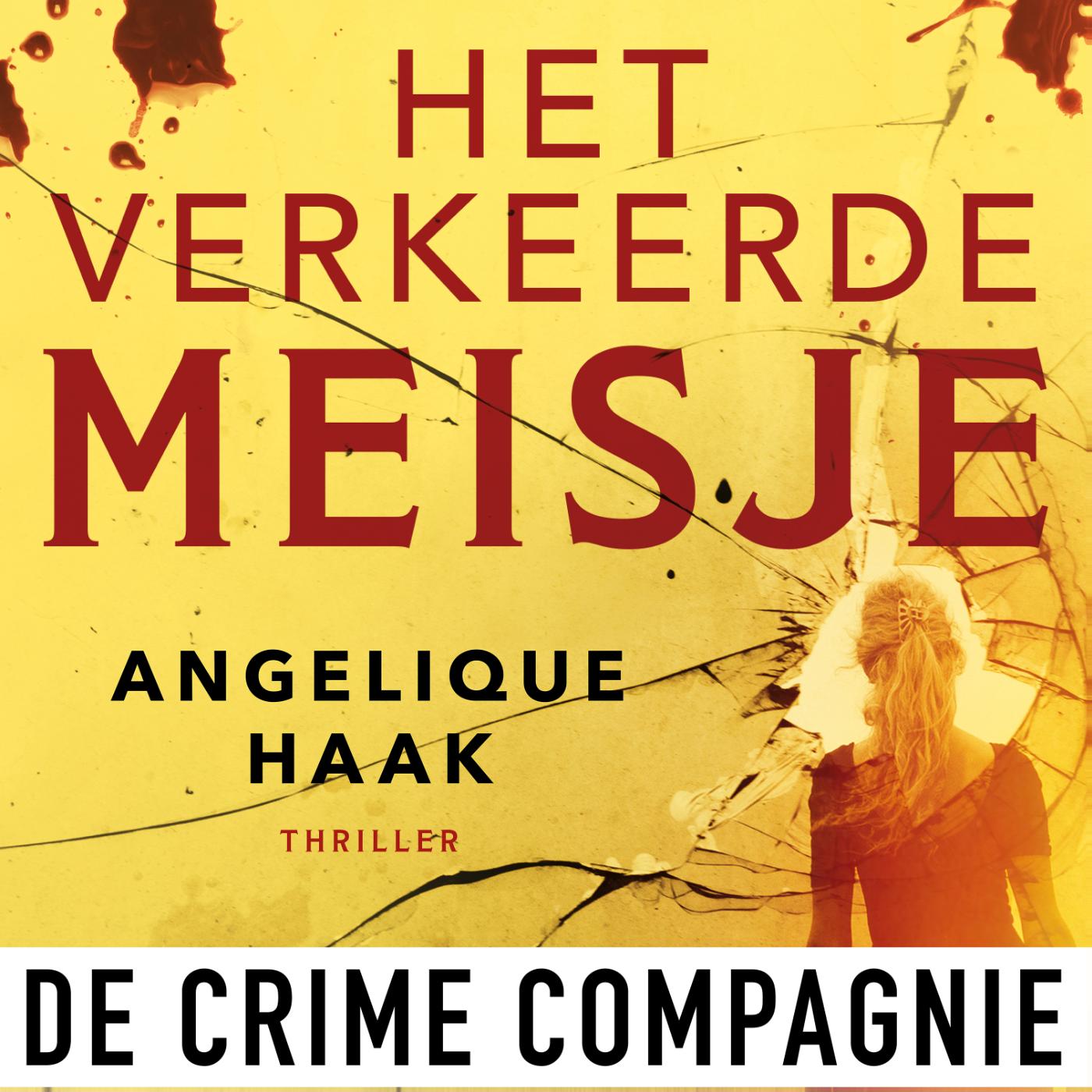Omslag van Het verkeerde meisje