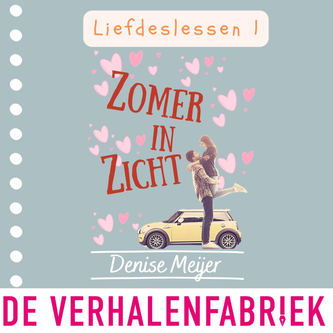 Omslag van Zomer in zicht