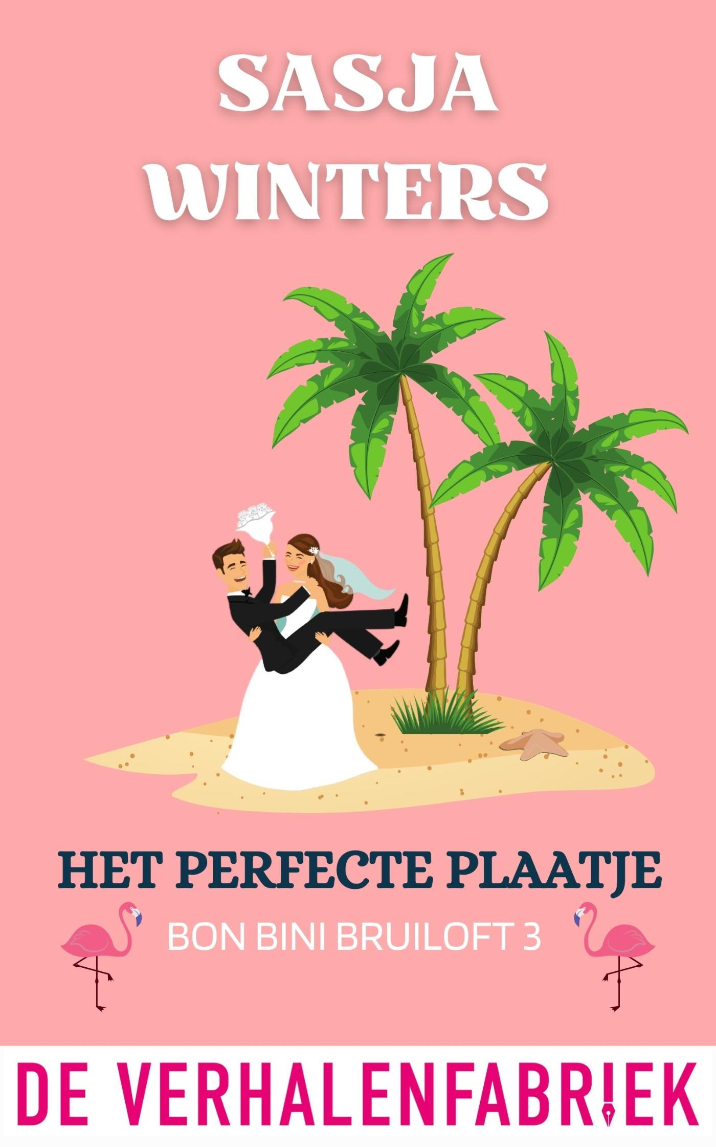 Omslag van Het perfecte plaatje