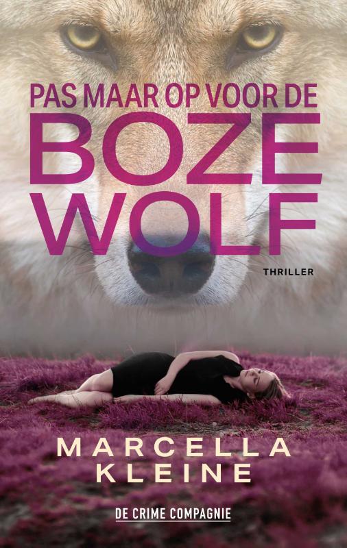 Omslag van Pas maar op voor de boze wolf