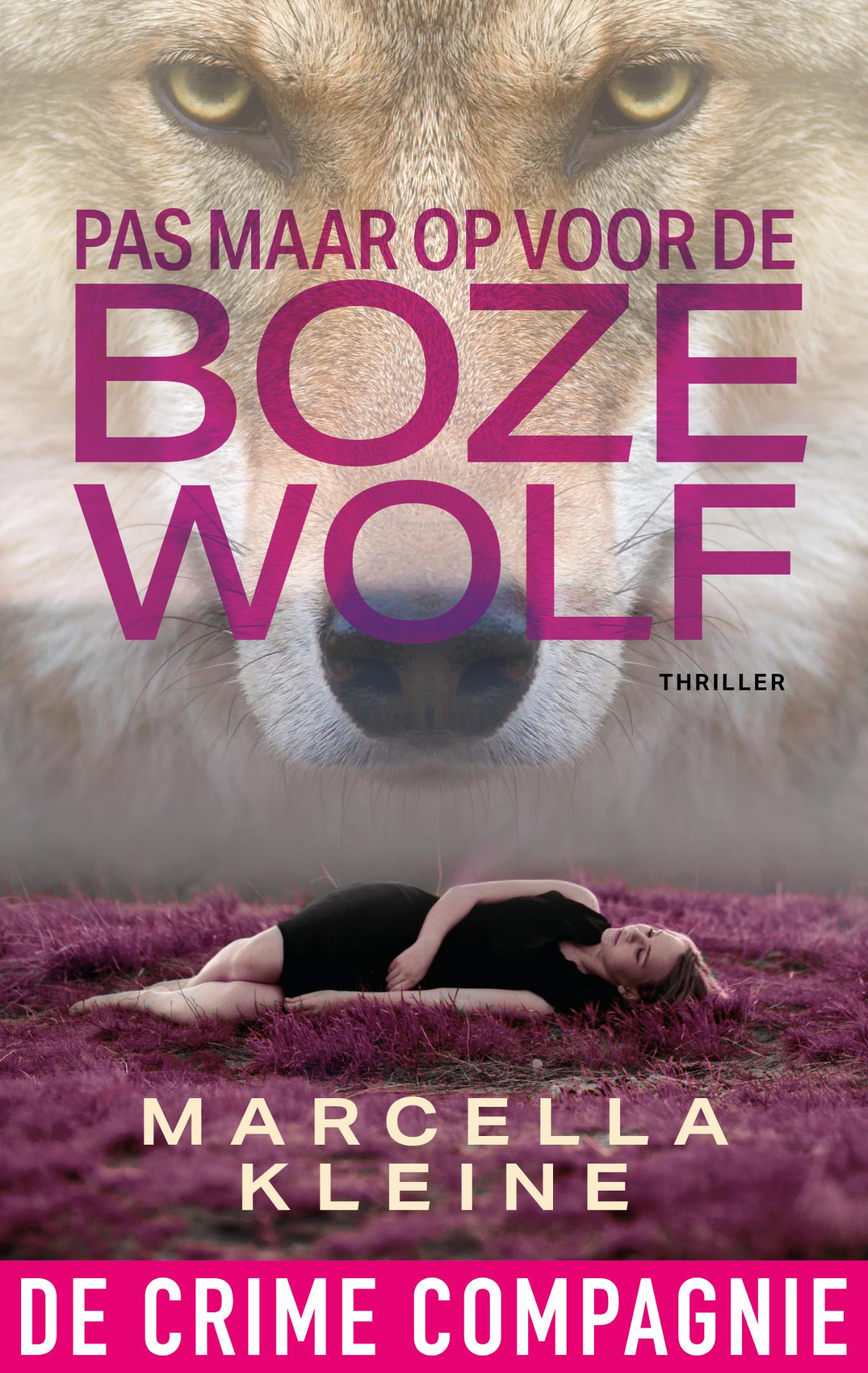 Omslag van Pas maar op voor de boze wolf