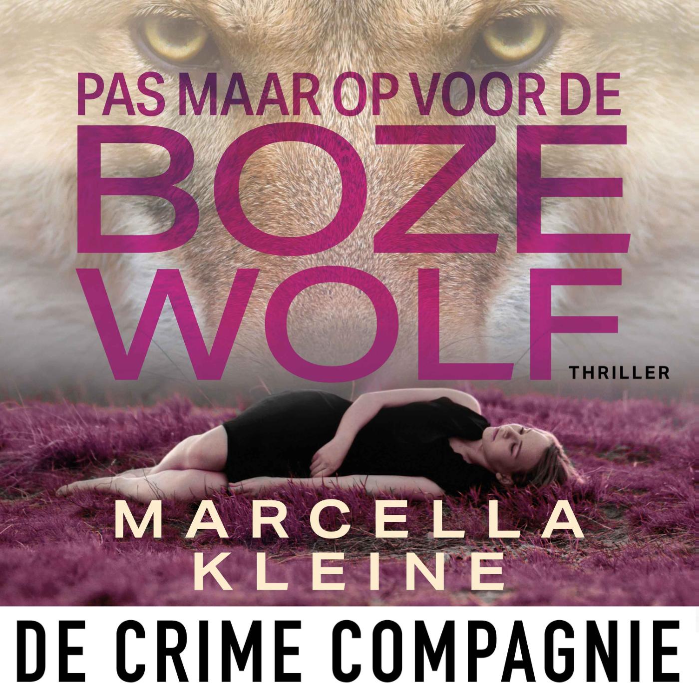 Omslag van Pas maar op voor de boze wolf