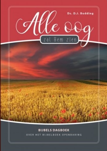 Omslag van Alle oog zal Hem zien