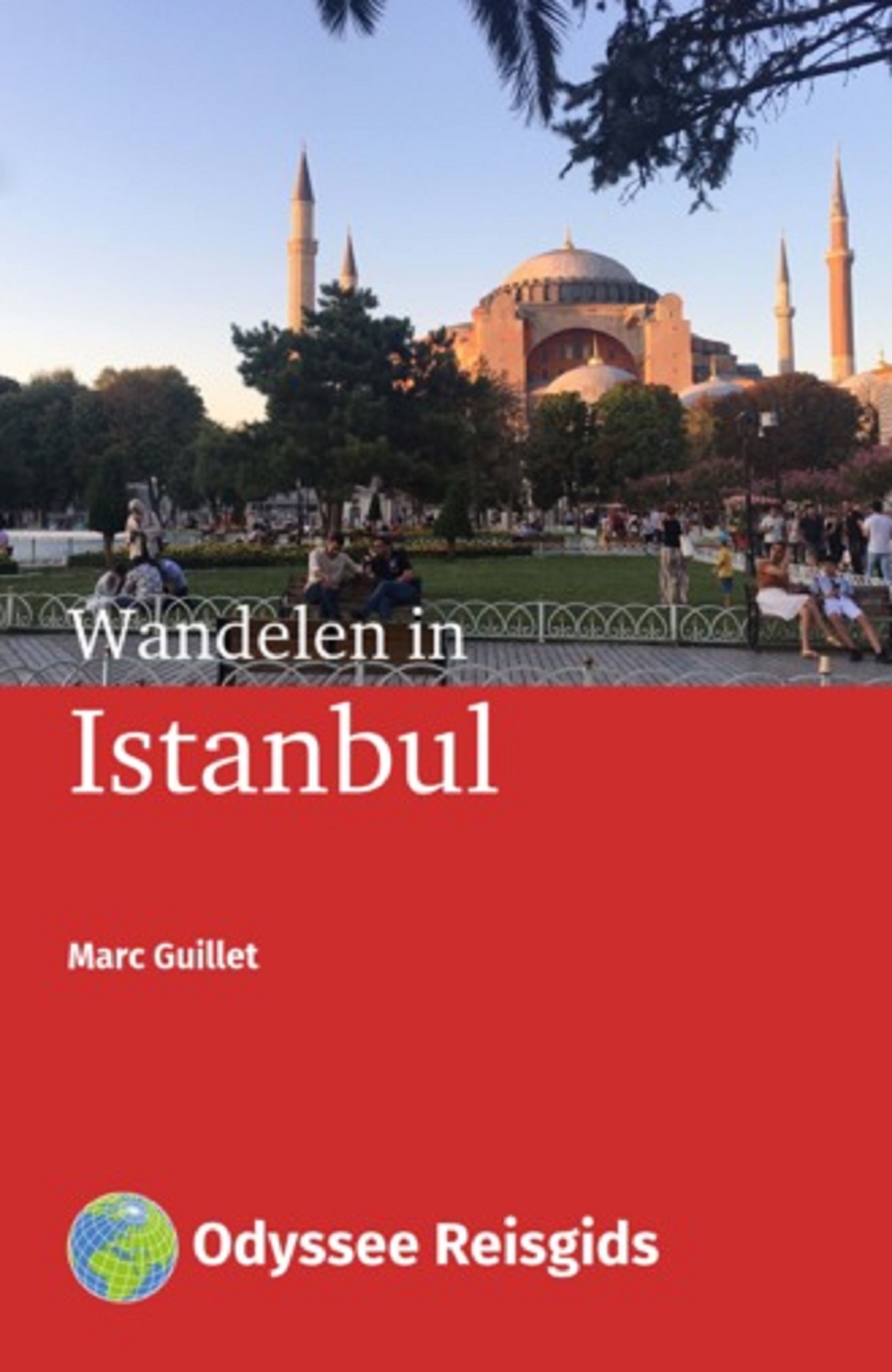 Omslag van Wandelen in Istanbul