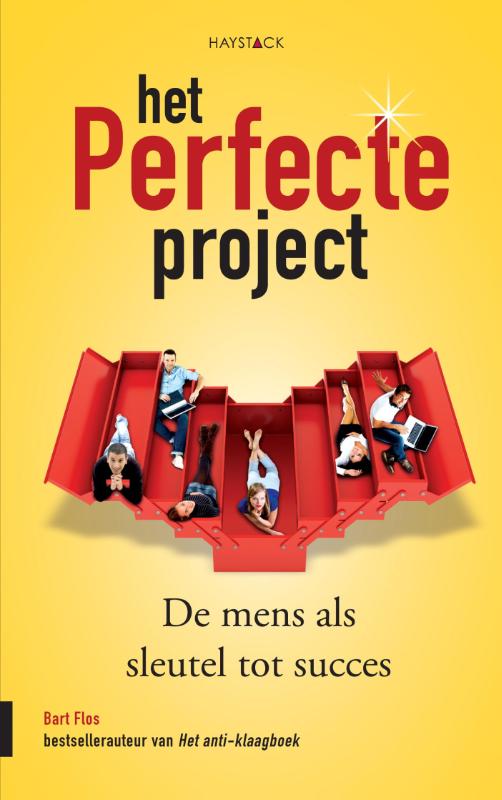 Omslag van Het perfecte project