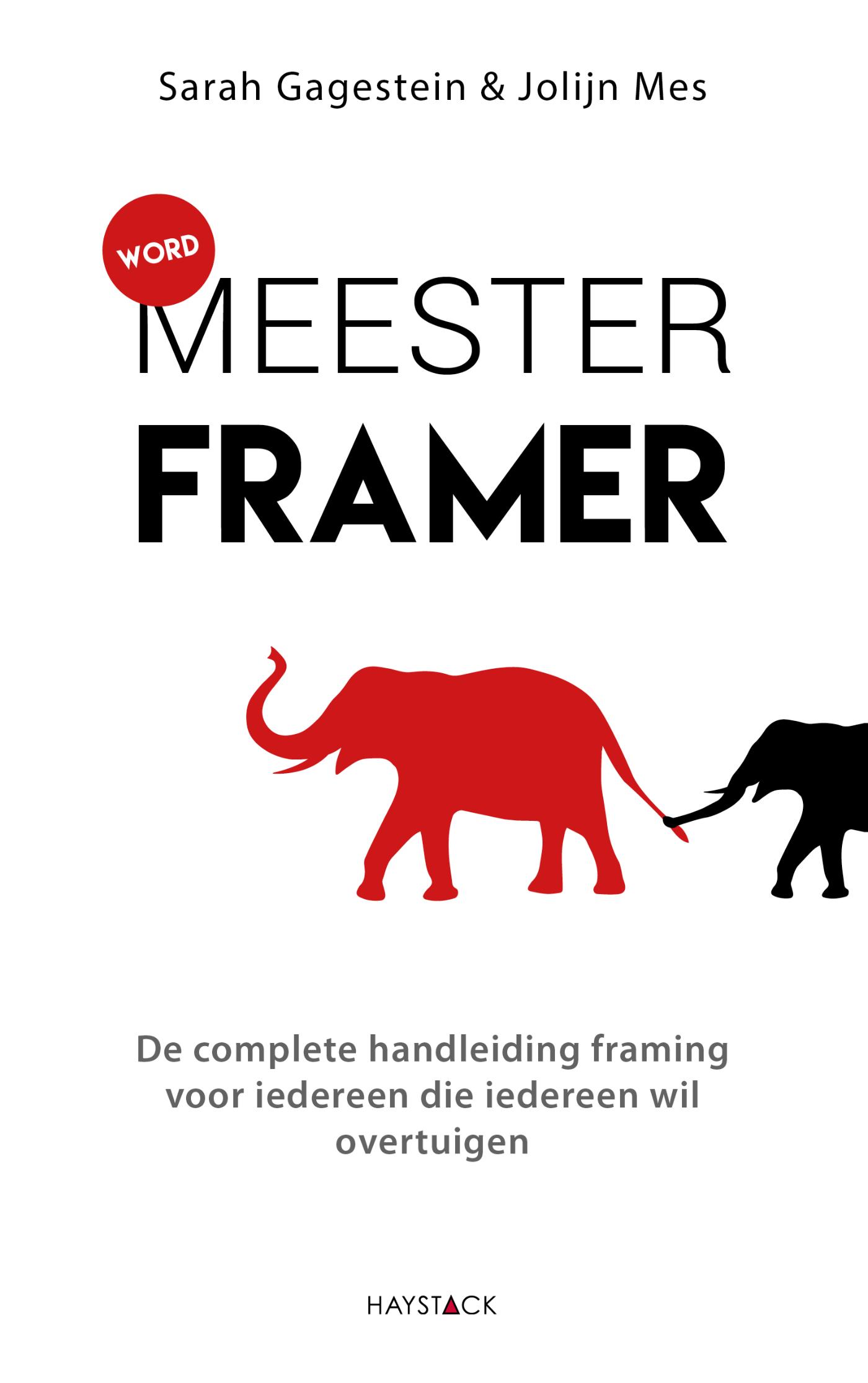 Omslag van Word meesterframer