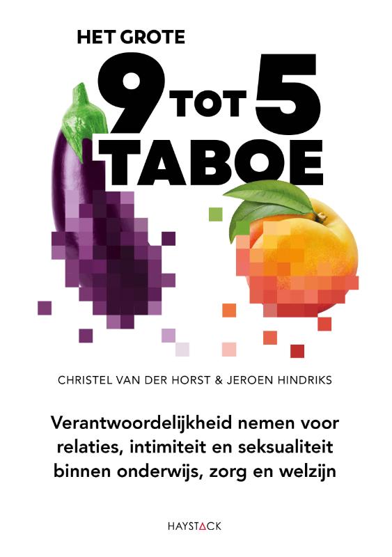 Omslag van Het grote 9-tot-5-taboe