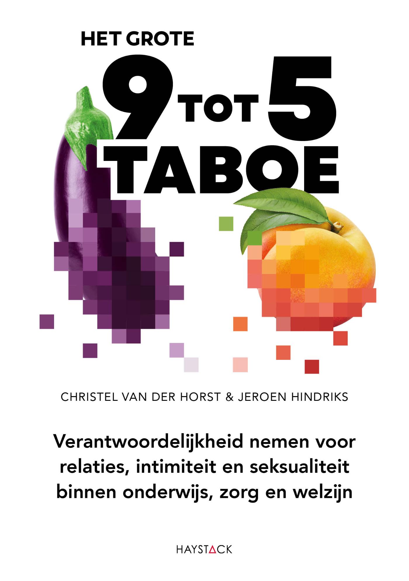 Omslag van Het grote 9-tot-5-taboe