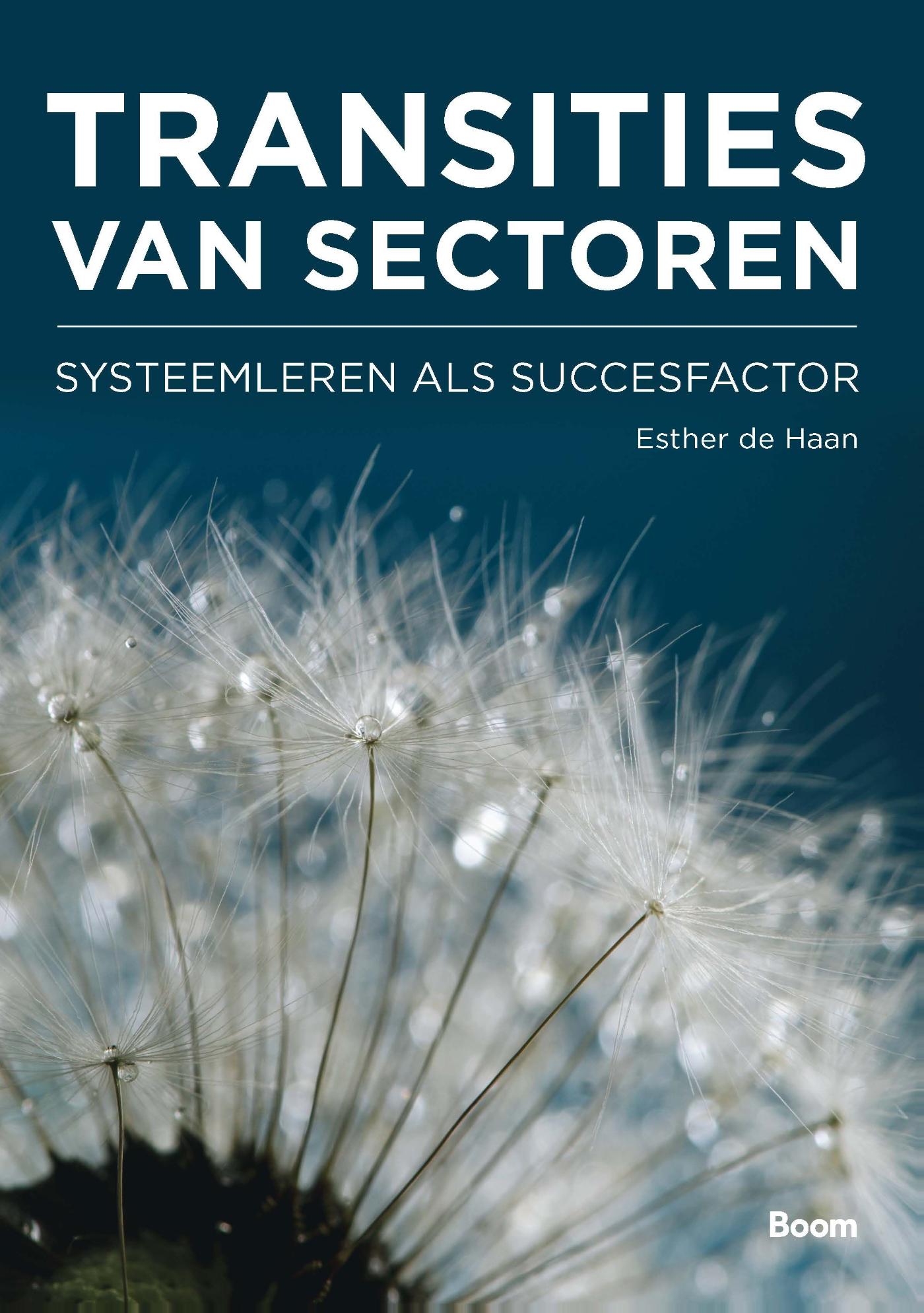 Omslag van Transities van sectoren