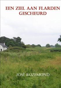 Omslag van Een ziel aan flarden gescheurd
