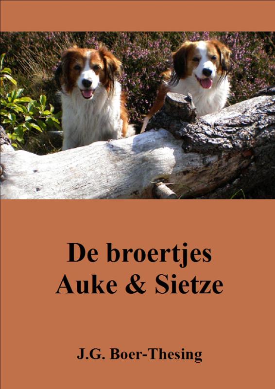 Omslag van De broertjes Auke en Sietze