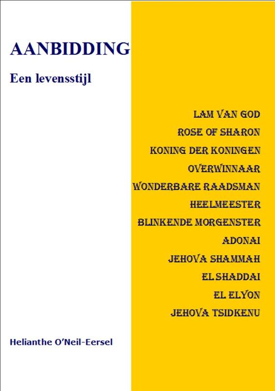 Omslag van Aanbidding