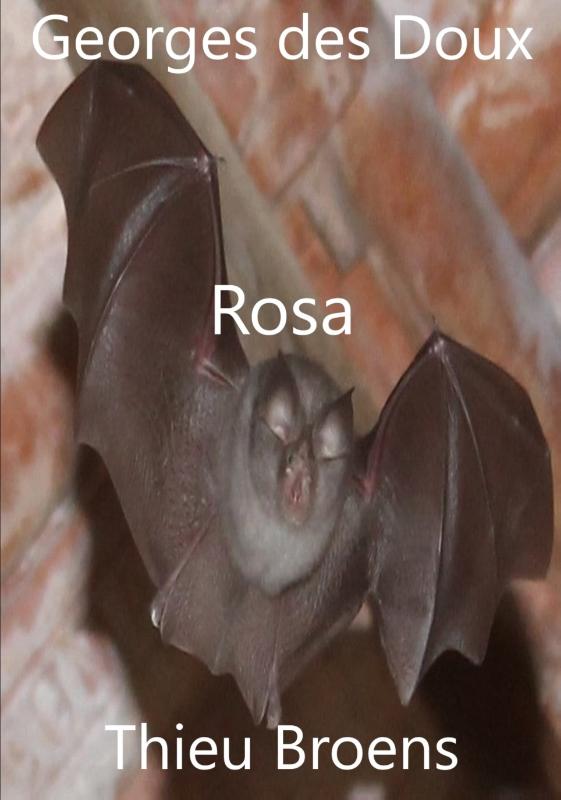 Omslag van Rosa