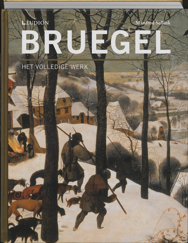 Omslag van Bruegel