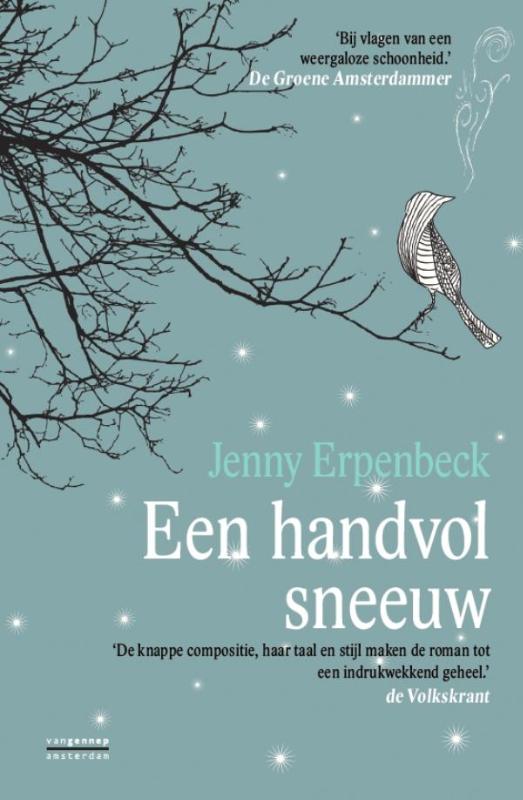 Omslag van Handvol sneeuw