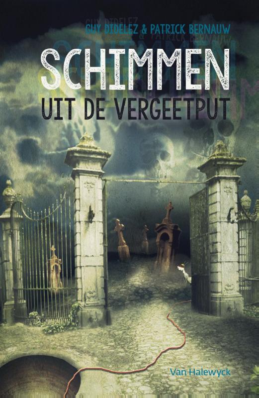 Omslag van Schimmen uit de vergeetput