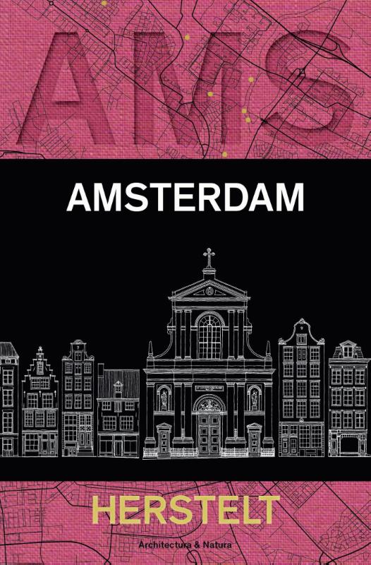 Omslag van Amsterdam herstelt