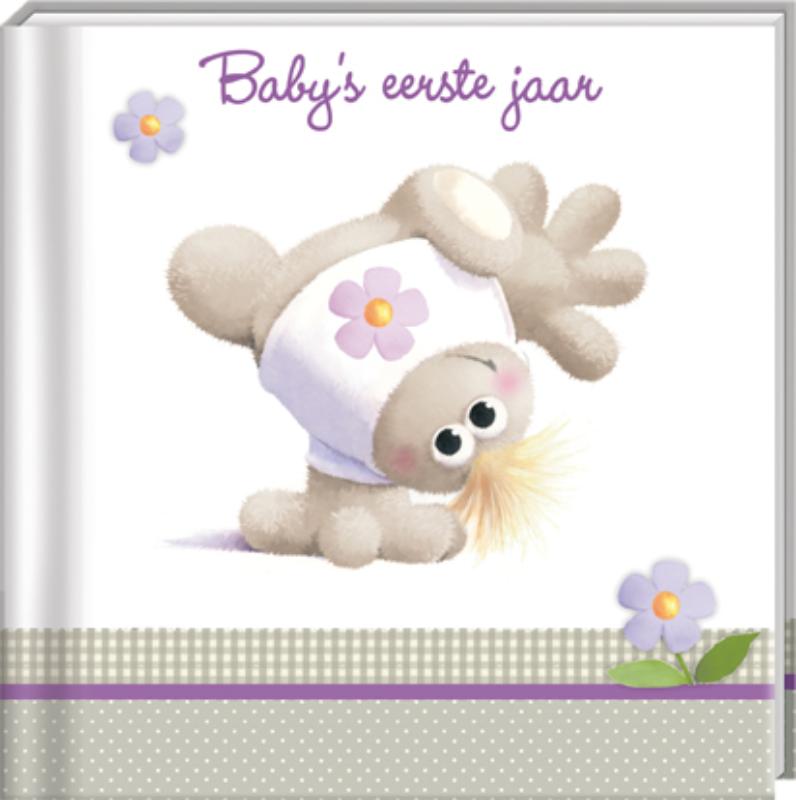 Omslag van Hugmeez babeez baby's eerste jaar